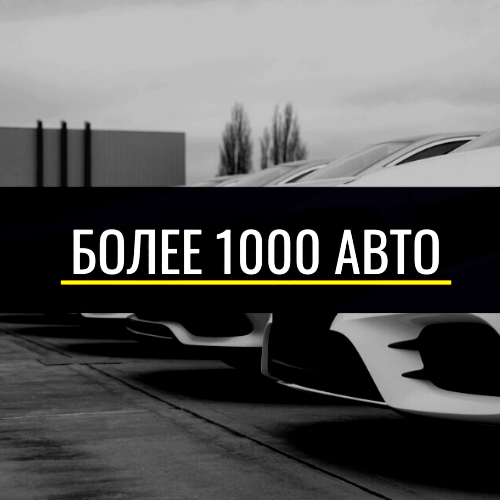 Более 1000 авто на выбор
