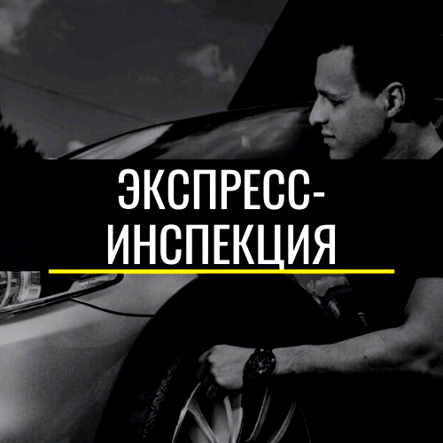 Экспресс-инспекция